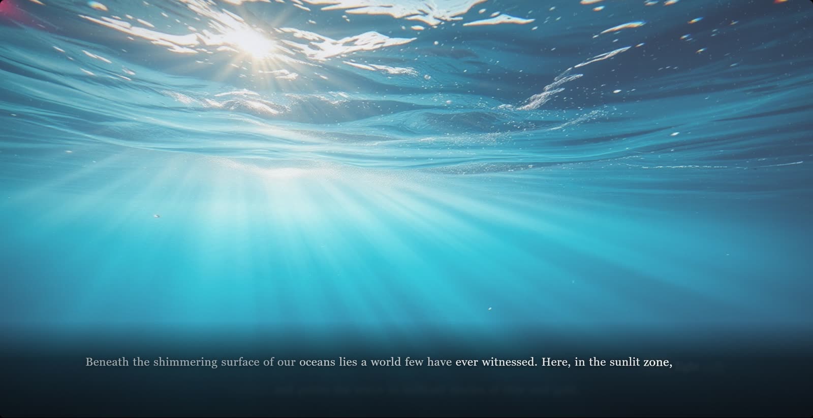 Deep Ocean: The sunlit zone