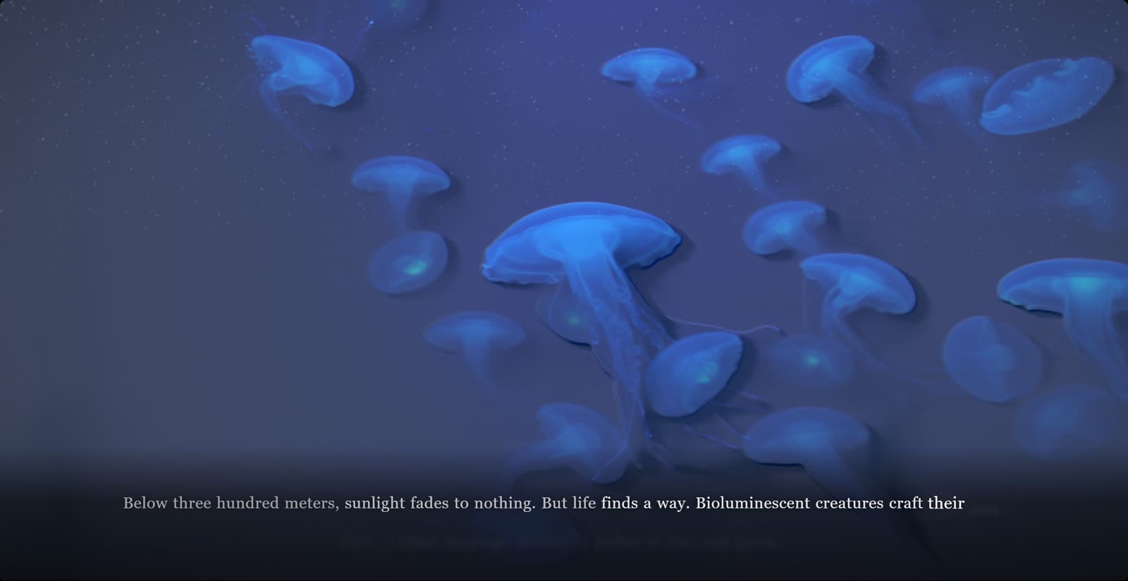 Deep Ocean: Below the light, creatures make their own