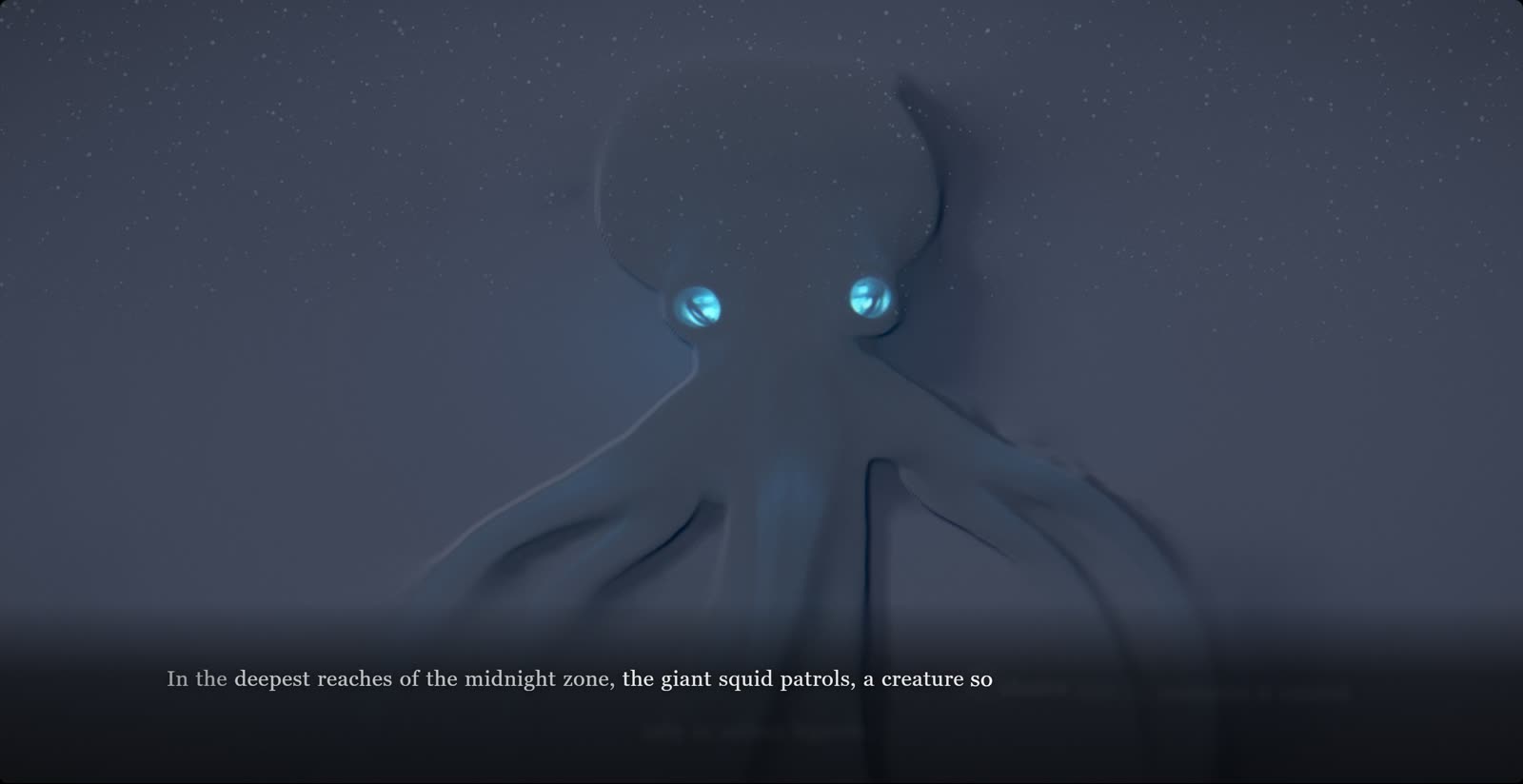 Deep Ocean: The midnight zone